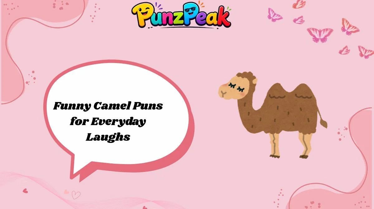 Funny Camel Puns for Everyday Laughs