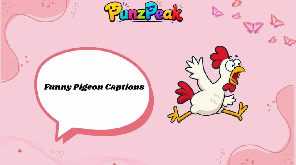 funny-pigeon-captions